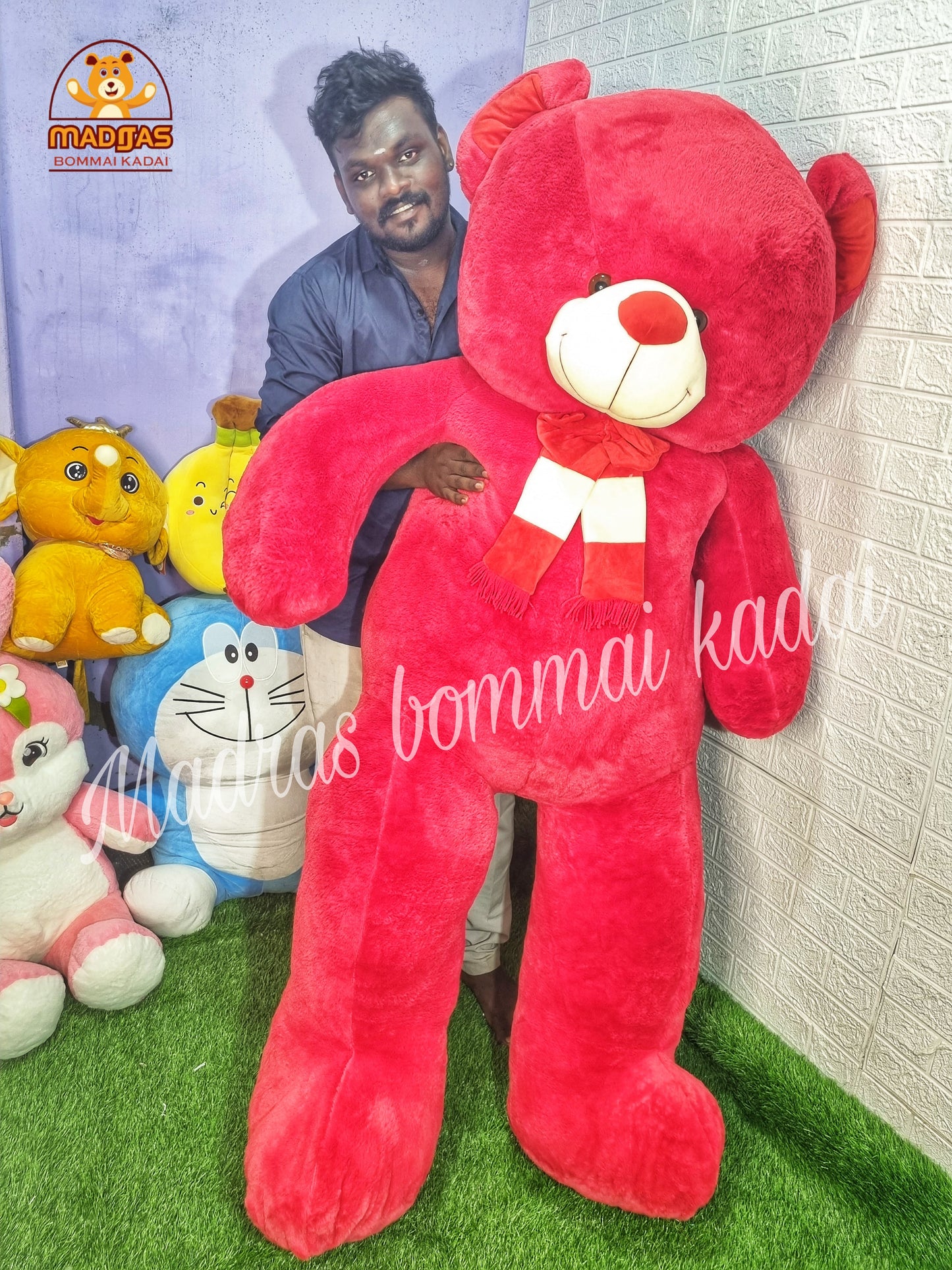 6 Feet jumbo teddy