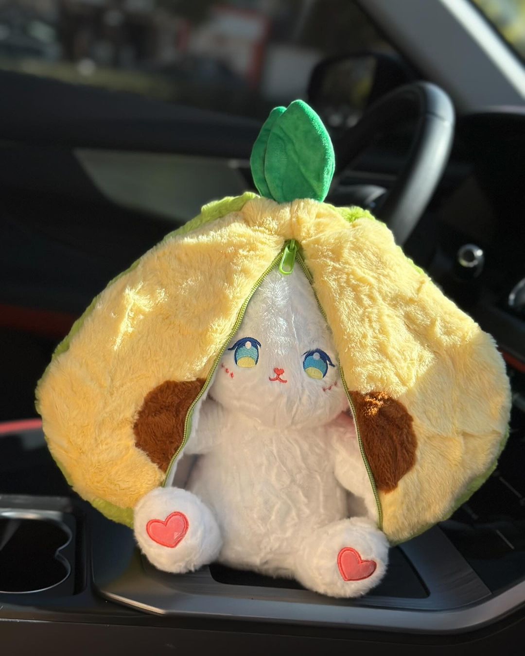 Avocado pouch rabit