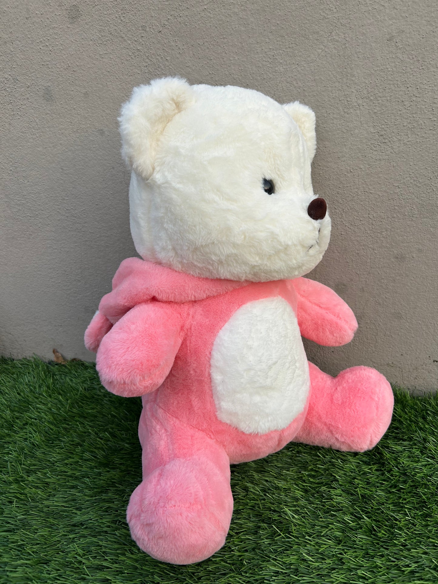 Pink hoodie teddy