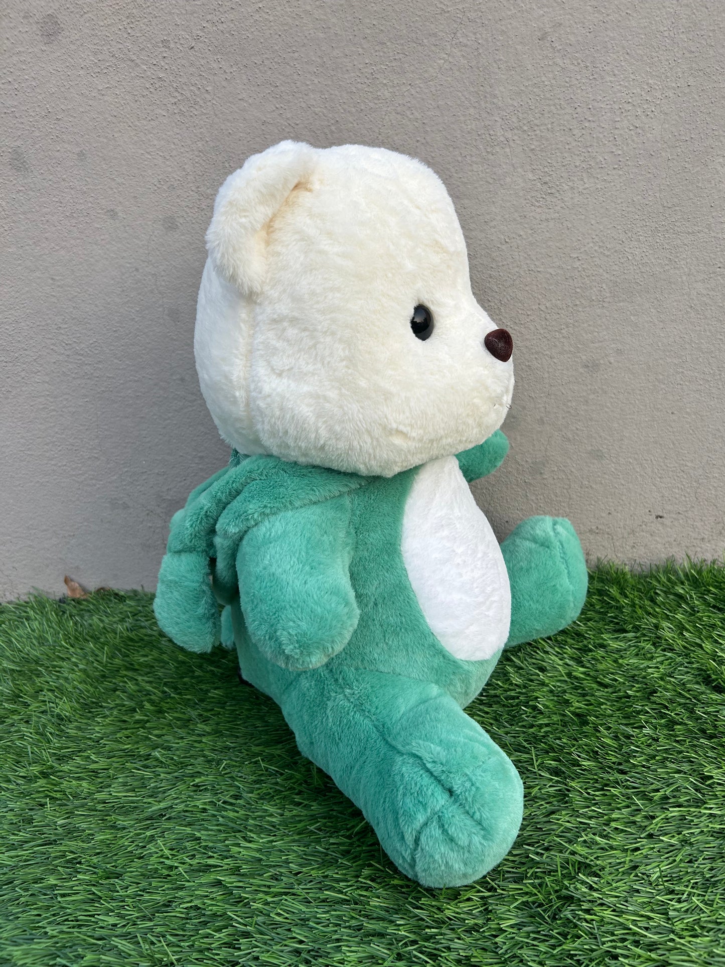 Green Hoodie Teddy