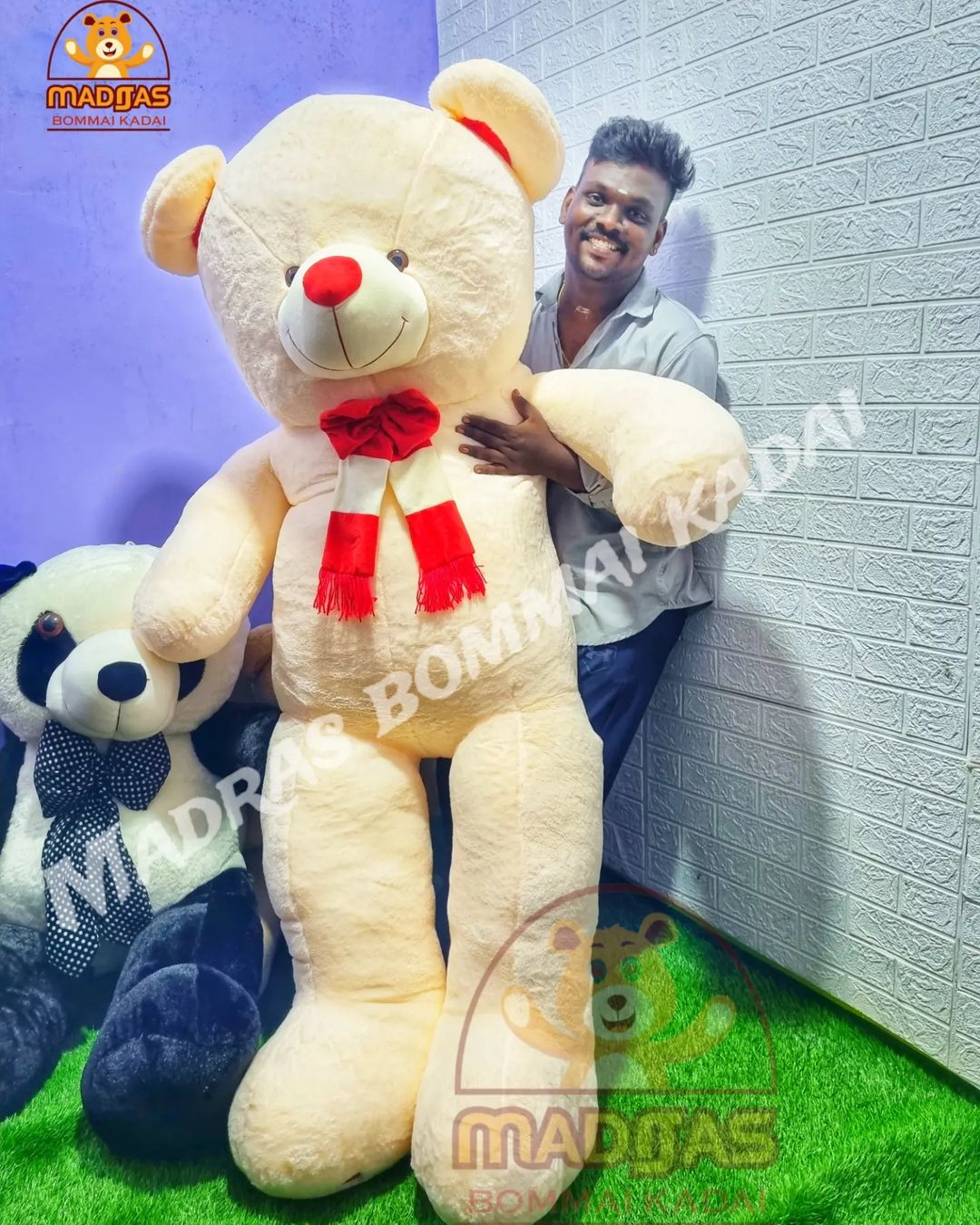 6 Feet jumbo teddy – Madras Bommai Kadai