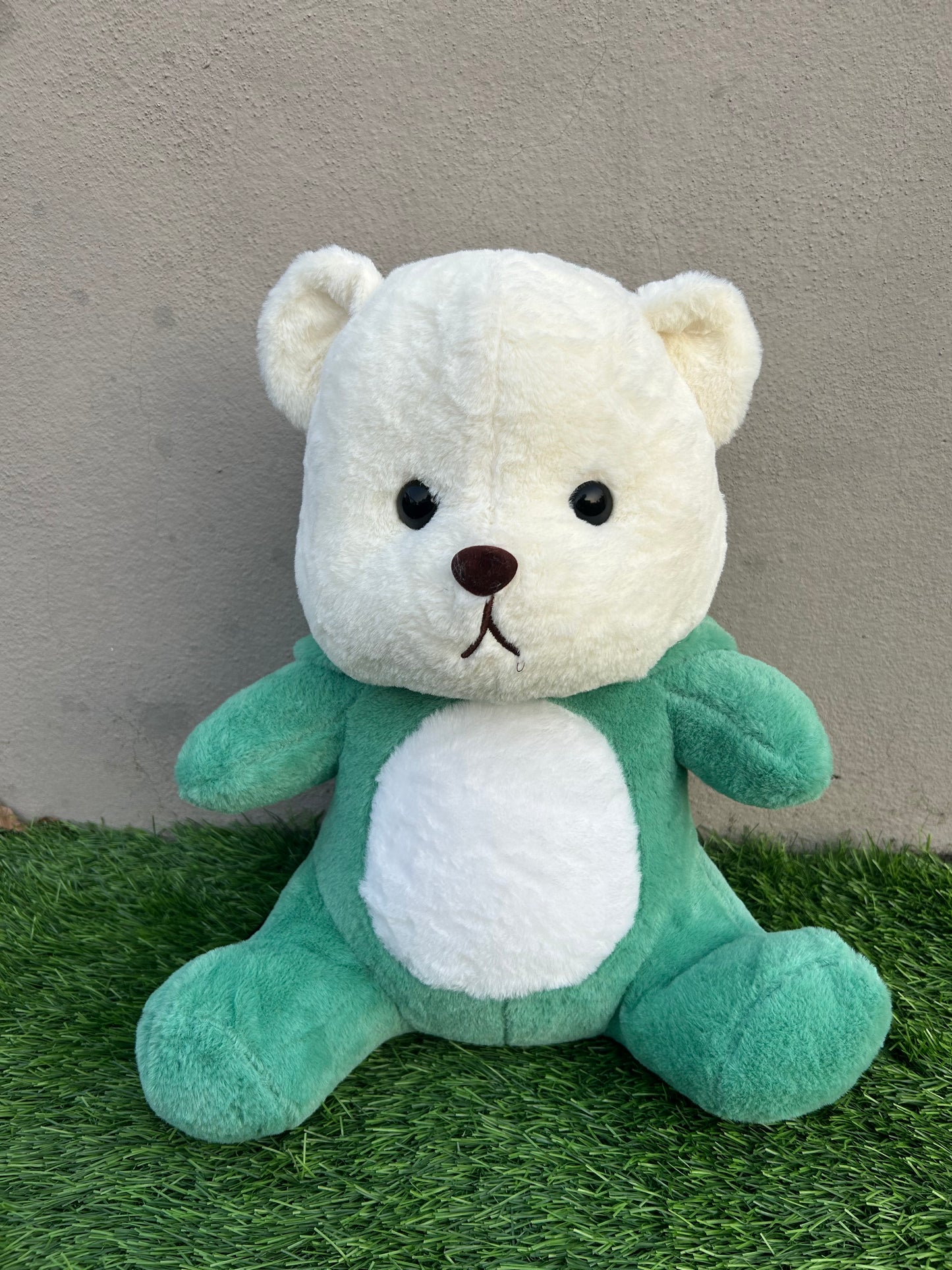 Green Hoodie Teddy