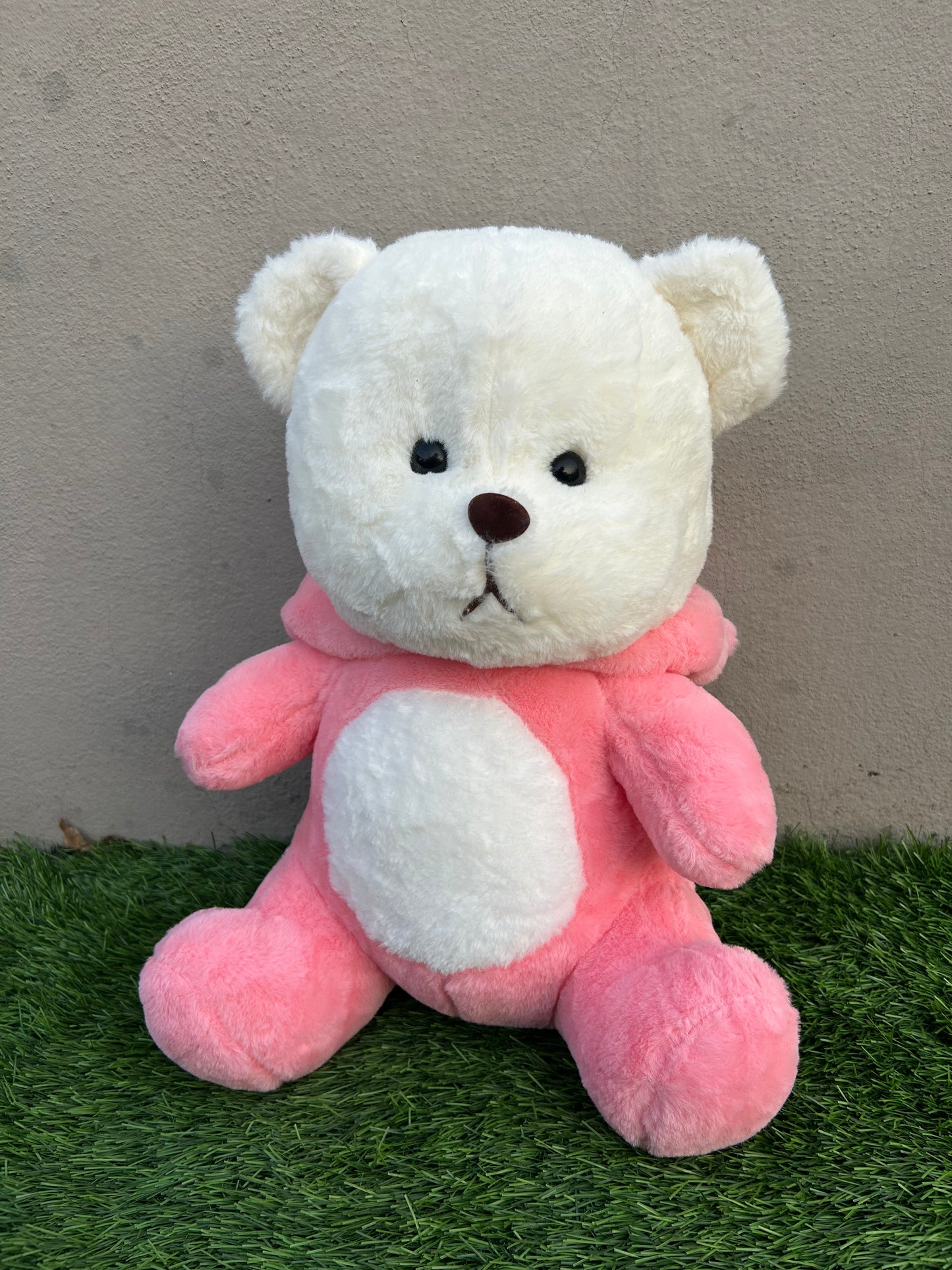 Pink hoodie teddy