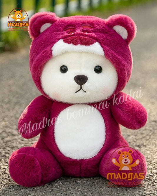 Red hoodie teddy bear